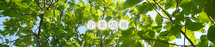 企業情報イメージ